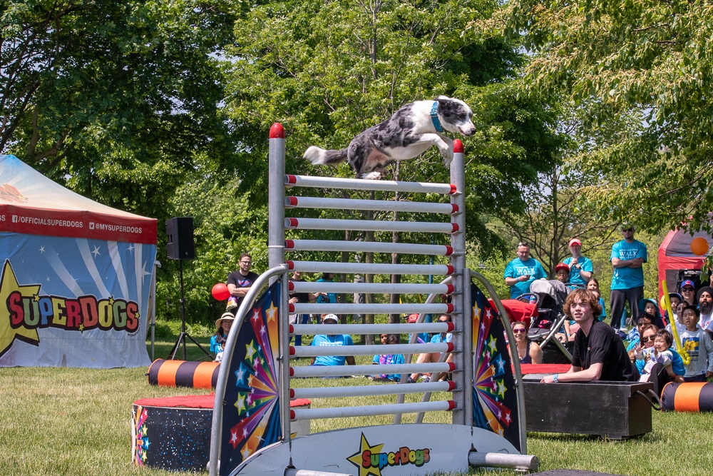 Walk-2023-Selects-26