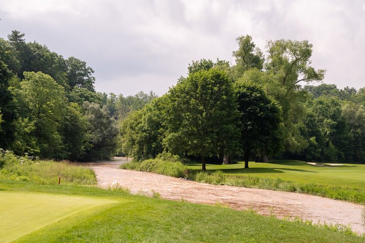 53005776822 32b17d3ce8 c