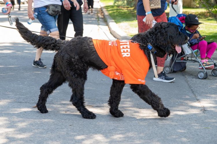 Hazel-McCallion-Walk-for-Health-2022-219